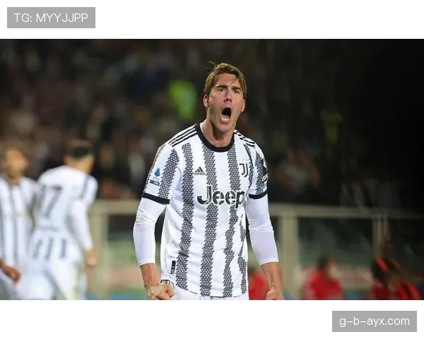 意甲弗拉霍维奇前锋